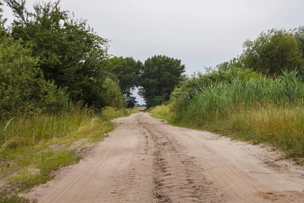 Yazın bulutlu bir günde eski kır yolu. Tarlanın her iki tarafında da çalılar ve mısır var.