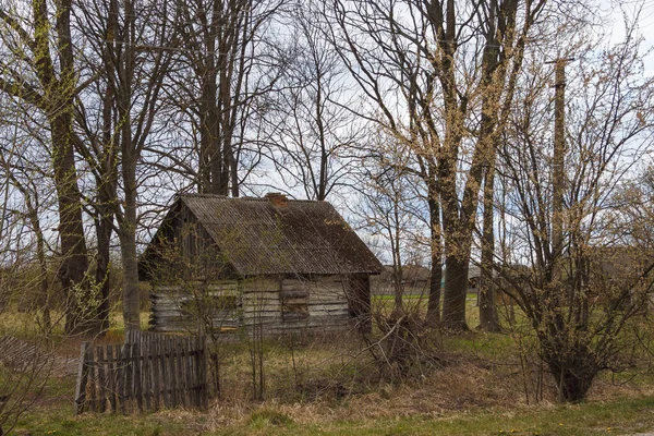 Verlassenes Altes Holzhaus Zwischen Den Bäumen Ländliche Frühlingslandschaft — Stockfoto