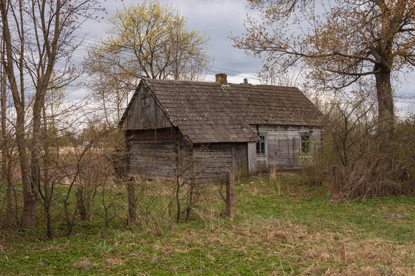 Ağaçların arasında terk edilmiş eski ahşap bir ev. Kırsal ilkbahar manzarası.