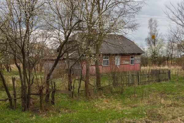 Vecchia Casa Legno Abbandonata Tra Gli Alberi Paesaggio Rurale Primavera — Foto Stock