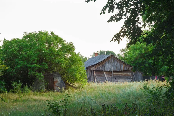 Yeşil ağaçlar ve uzun otların arasında terk edilmiş eski ahşap bir ev. Kırsal alan.