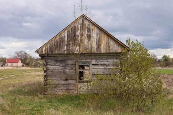 Ağaçların arasında terk edilmiş eski ahşap bir ev. Kırsal ilkbahar manzarası.