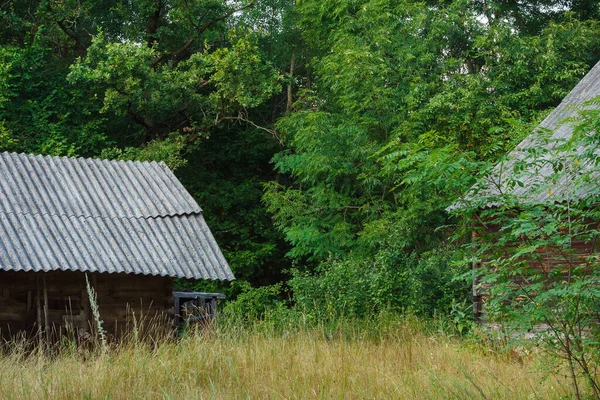 Abandoned Old Wooden House Green Trees Tall Grass Rural Landscape — Stok fotoğraf