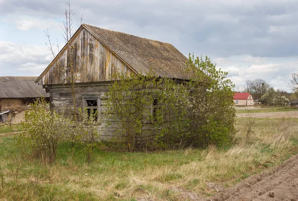 Ağaçların arasında terk edilmiş eski ahşap bir ev. Kırsal ilkbahar manzarası.