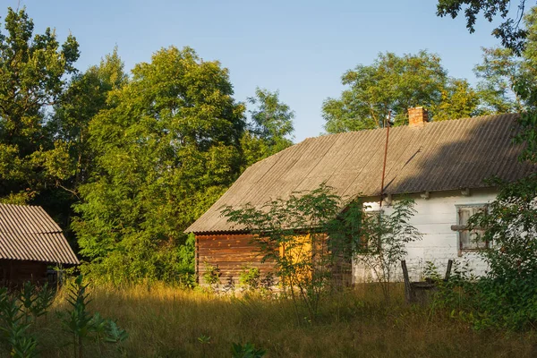 Opuštěný Starý Dřevěný Dům Mezi Zelenými Stromy Vysokou Trávou Venkovské — Stock fotografie