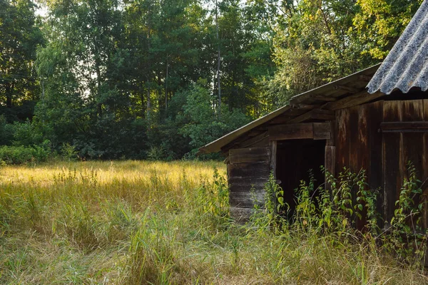 Yeşil ağaçlar ve uzun otların arasında terk edilmiş eski ahşap bir ev. Kırsal alan.