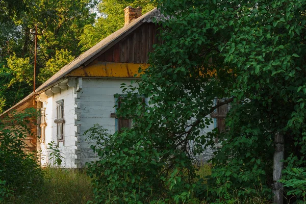 Yeşil ağaçlar ve uzun otların arasında terk edilmiş eski ahşap bir ev. Kırsal alan.