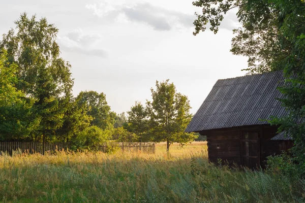 Opuštěný Starý Dřevěný Dům Mezi Zelenými Stromy Vysokou Trávou Venkovské — Stock fotografie