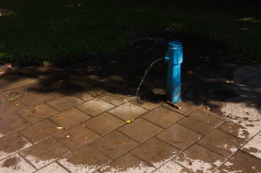 Parktaki kırık içki içme köşesi. Pompa sütunundan güçlü su akışı