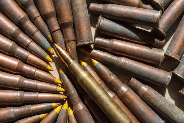 Diverses Munitions Pour Mitrailleuses Fusils Guerre Ukraine — Photo