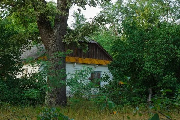 Залишився Старий Дерев Яний Будинок Серед Зелених Дерев Високої Трави — стокове фото