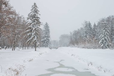 Kış Parkı. Donmuş kanal ve köprü manzarası