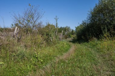 Rural landscape with an old fallen wooden fence and a grassy road