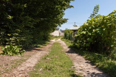 Kırsal toprak yoldan arka bahçeye. Kırsal motif