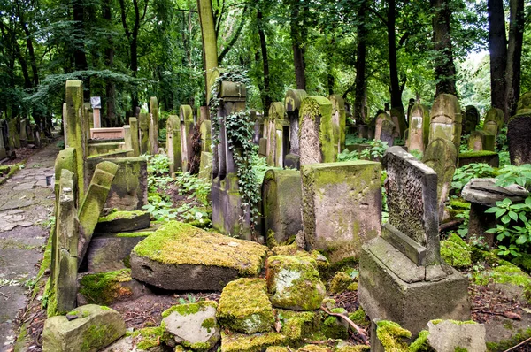 Krakau Polen Juli 2016 Alter Jüdischer Friedhof Mit Mit Moos — Stockfoto