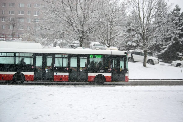 Brno República Checa Noviembre 2021 Autobús Urbano Corre Por Carretera — Foto de Stock