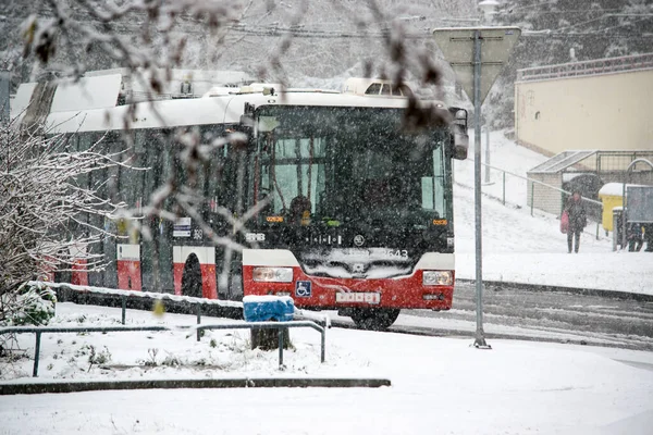 Brno República Checa Noviembre 2021 Rojo Autobús Blanco Transporte Público — Foto de Stock