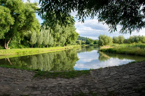 Piccolo Stagno Tra Gli Alberi Dove Anatre Cigni Vivono Vicino — Foto Stock