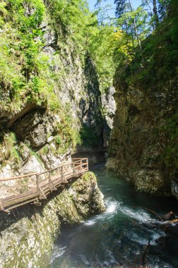 Slovenya 'da Vintgar Vadisi, Bled Gölü yakınlarında. Derin kanyonda nehir ve şelaleli vahşi doğa. Köprülerde ve yaya köprülerinde turistler için erişilebilir.