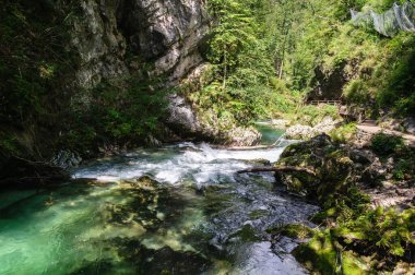 Slovenya 'da Vintgar Vadisi, Bled Gölü yakınlarında. Derin kanyonda nehir ve şelaleli vahşi doğa. Köprülerde ve yaya köprülerinde turistler için erişilebilir.