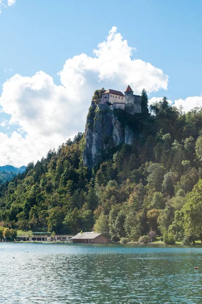 Slottet Ovanför Sjön Bled Slovenien Vacker Sjö Med Blått Vatten — Stockfoto