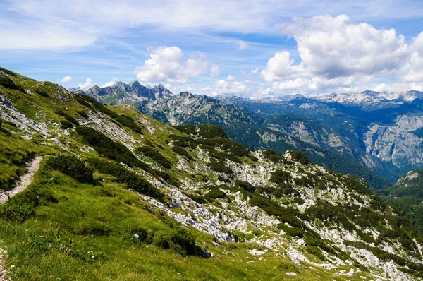 ヴォーゲルの丘の近くにスロベニアのジュリアンアルプスのロッキー山脈の峰 ボヒンジ湖の夏の山と風景 — ストック写真