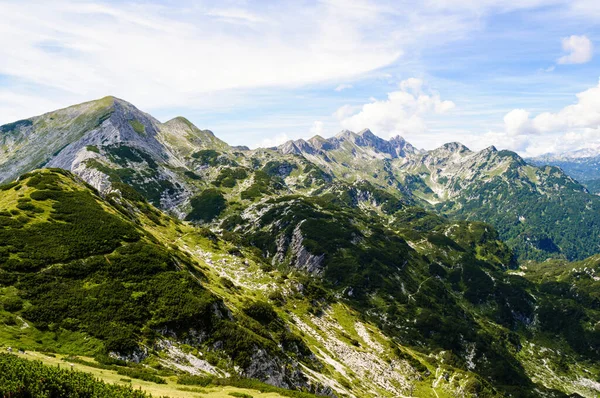 Skalnaté Vrcholy Juliánských Alpách Slovinsku Poblíž Vrchu Vogel Letní Hory — Stock fotografie