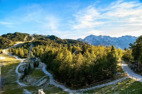 Slunečný Les Lanovkou Skalnatými Horami Pozadí Dálce Vrchol Vogel Julianských — Stock fotografie