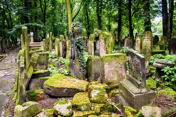 Vecchio Cimitero Ebraico Con Tombe Ricoperte Muschio Erba Alberi Alti — Foto Stock