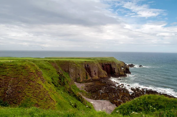 Rocks Covered Grass Seashore East Scotland — 스톡 사진