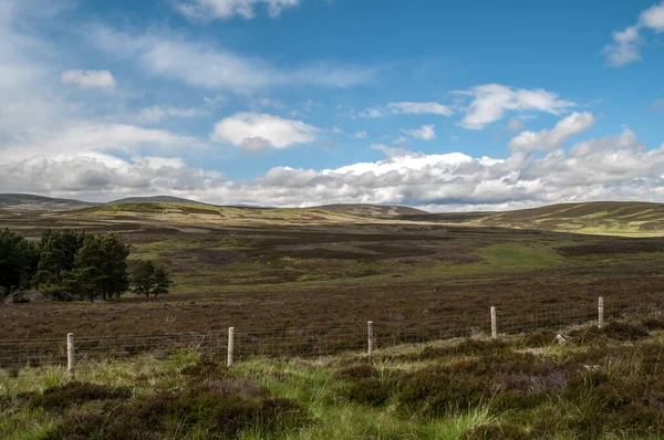 Typiska Rullande Landskap Skotska Höglandet Sommaren Med Blå Himmel Och — Stockfoto