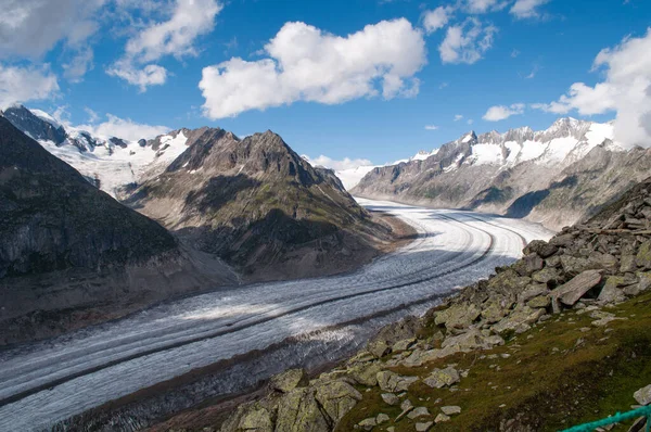 Uzun bir Aletschgletscher buzulu, yüksek dağlar arasındaki dar bir vadi boyunca uzanır (İsviçre)