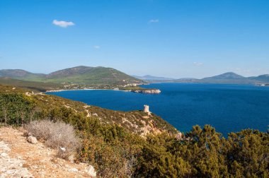 İtalya 'nın Sardunya adasında yeşil ağaçlarla dolu açık mavi deniz..