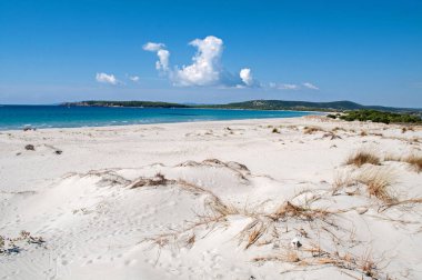 Sardunya adasındaki Porto Pino kasabasının sahilinde büyük bir kum tepesi.