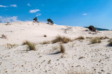 Sardunya adasındaki Porto Pino kasabasının sahilinde büyük bir kum tepesi.