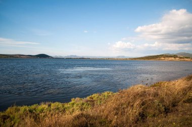 Açık turkuaz bir deniz koyunda kumlu bir plaj, sahilde taşlar ve alçak yeşil ağaçlar. Sardunya adasında popüler bir turizm beldesi.