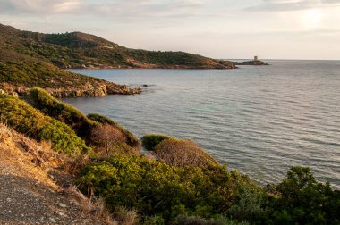 Denizden çıkan kayalık tepeler Sadinia adasındaki altın öğleden sonra güneşiyle aydınlanıyor.