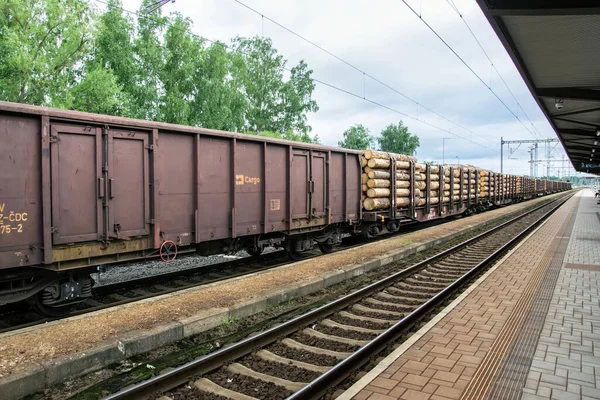 Old wagons stand at the station. A long train with wood is parked on the tracks.