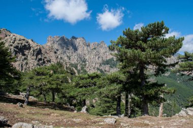 Korsika adasındaki Bavella Parkı 'nda kayalar ve dağlar