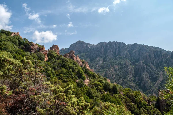 View Sea Mountains Typical Landscape Island Corsica Calanche Region — Foto de Stock