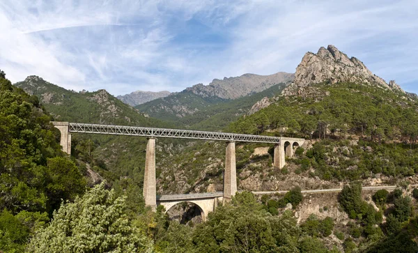 Large Steel Railway Bridge Mountains Island Corsica — Stockfoto
