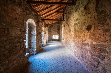 Eski yıkılmış katedral - Rosa Coeli, Dolni Kounice, Çek Cumhuriyeti