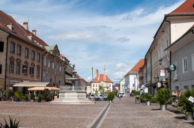 Vait an der Glan, Avusturya: Küçük bir kasabada eski renkli evleri olan bir meydan. Kaktüs ve sokaktaki çömlek bitkileri..