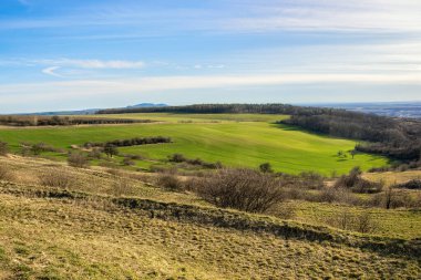 Güneşle aydınlatılan yeşil sonbahar çayırı. Devrilmiş ağaçlar ve çalılar. Bulutlu mavi gökyüzü.