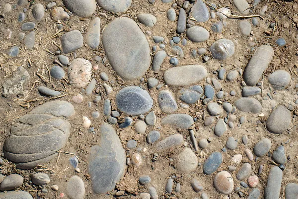 Pavimento Fondo Abstracto Formado Por Pequeñas Piedras Incrustadas Cemento —  Fotos de Stock