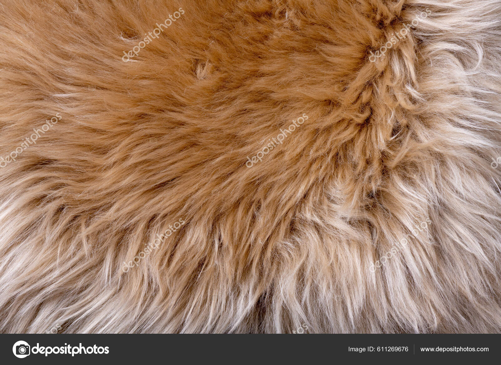 Fur texture top view. Brown fur background. Fur pattern. Texture of brown  shaggy fur. Wool texture. Flaffy sheepskin fur close up Stock Photo