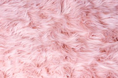 Pink fur texture top view. Pink sheepskin background. Fur pattern. Texture of pink shaggy fur. Wool texture. Sheep fur close u clipart