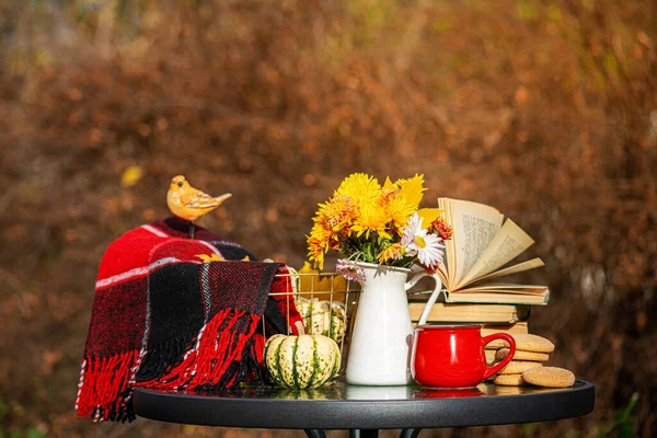 Sonbahar Bahçesinde Sonbahar Kompozisyonu Sıcak Yün Battaniye Balkabağı Kahve Kurabiye — Stok fotoğraf