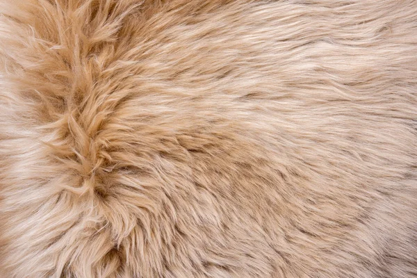 Fur Texture Top View Brown Fur Background Fur Pattern Texture — Stock Photo, Image