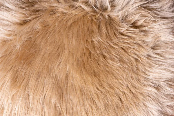 Fur texture top view. Brown fur background. Fur pattern. Texture of brown shaggy fur. Wool texture. Flaffy sheepskin close u